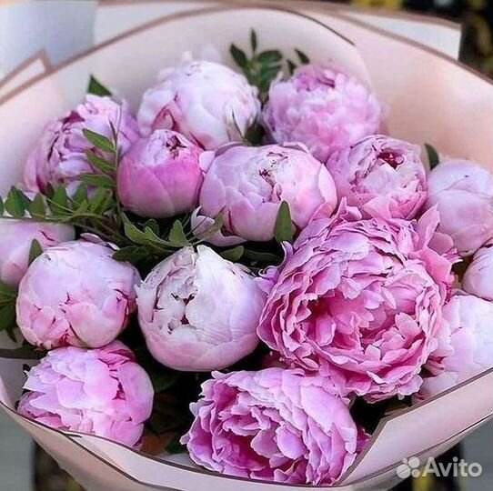 Пионы Розы Доставка