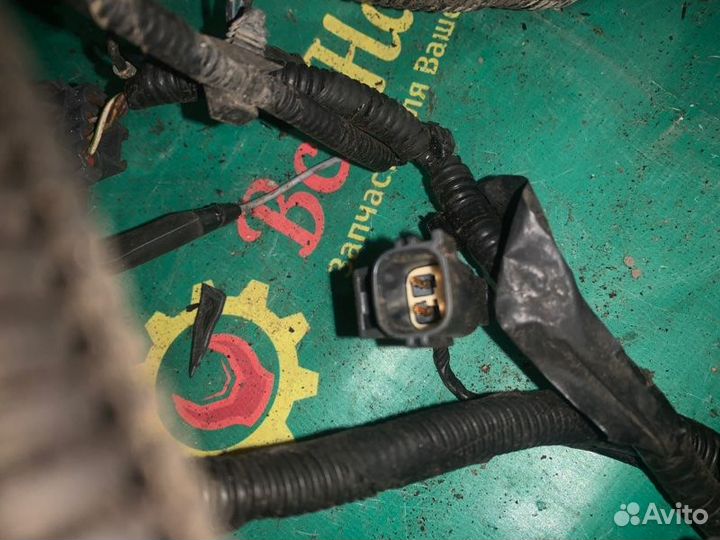 Проводка подкапотная Ford Focus 2 седан 1.8 qqdb