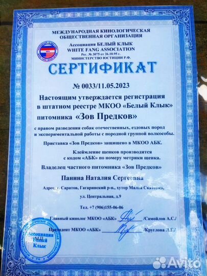 Волкособы щенки