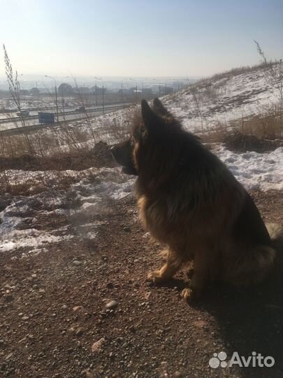 Вязка Кабель
