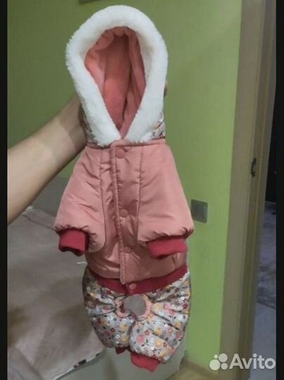 Зимний комбинезон для собак(девочки)