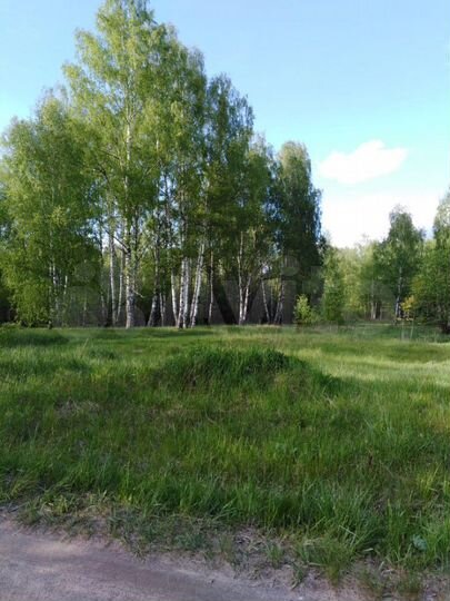 Участок 15 сот. (ИЖС)