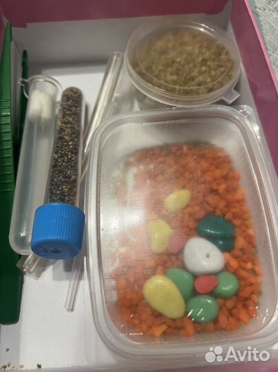 Муравьиная ферма 23*23