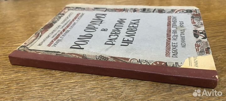 Роль орудия в развитии человека