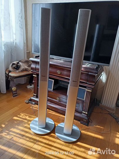 Акустические колонки Panasonic SB FS900 2хполосные