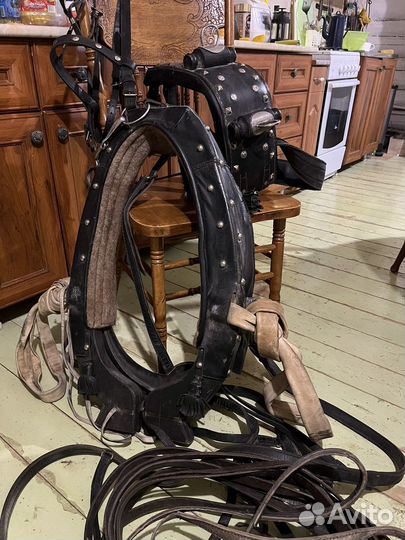 Хомут на крупную лошадь