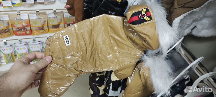 Одежда для собак