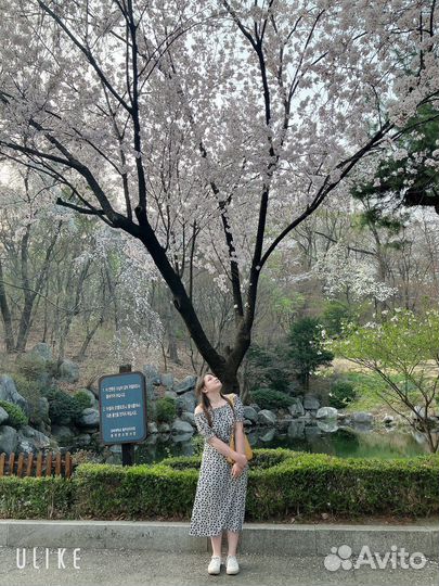 Репетитор по корейскому языку