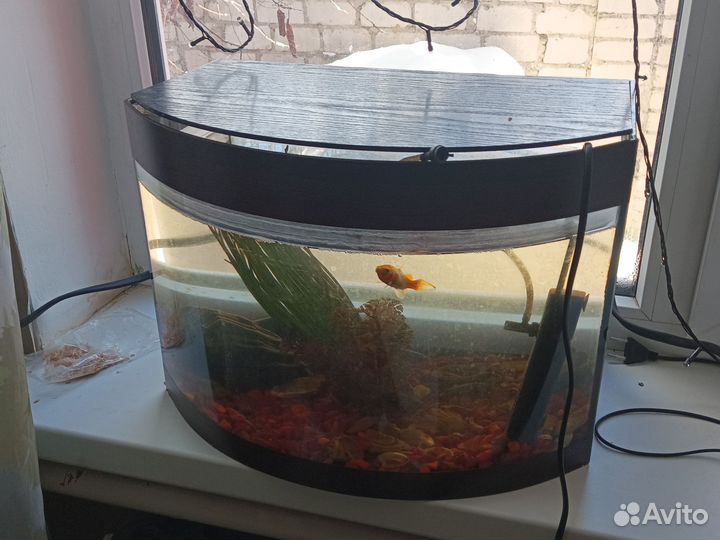 Продам аквариум