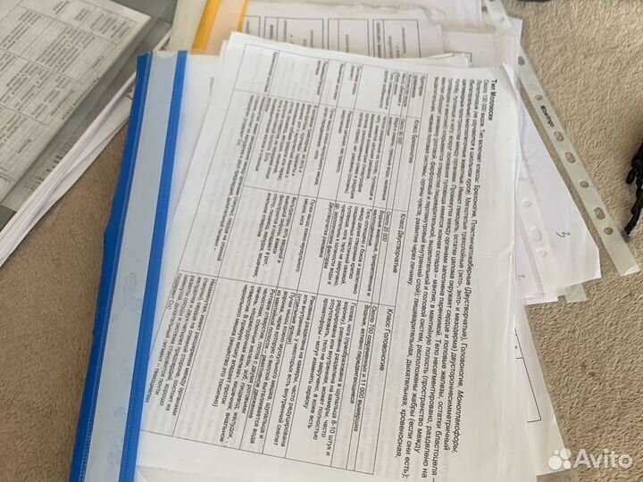 Шпаргалки егэ