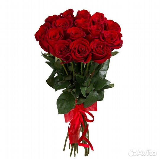 Длинные розы. Гиганты. Эквадор