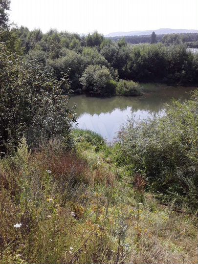 Участок 19 сот. (ИЖС)