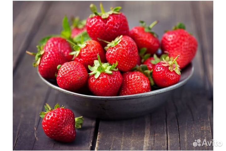 Рассада клубники Флорентина