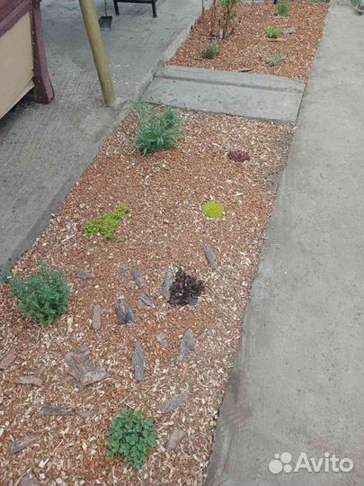 Щепа древесная для отопления, копчения и дизайна