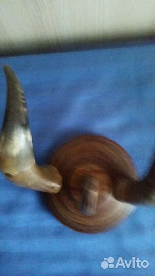 Вешалка рога