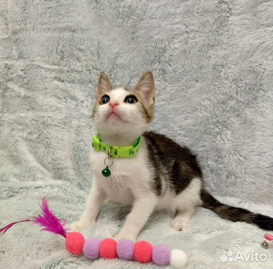 Совсем ещё крошка