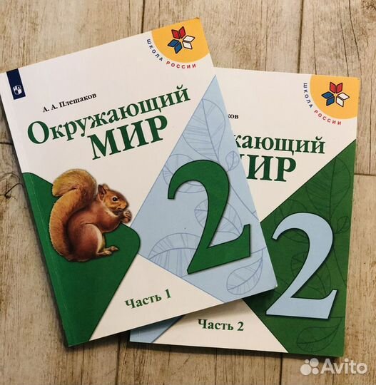 Учебники 2 класс Окружающий мир и Литературное чте