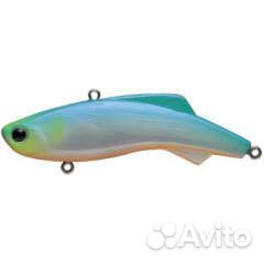 Madness shiriten vibe 53/73/80/93