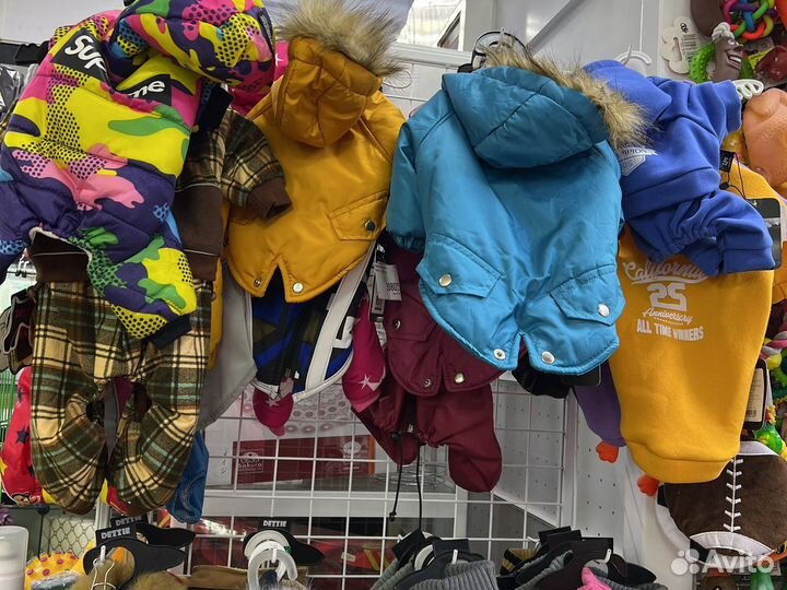 Одежда для собак