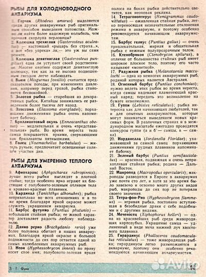 Твой аквариум