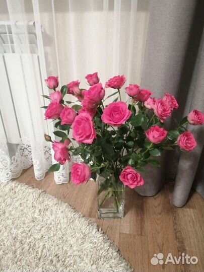 Ковры и паласы бу