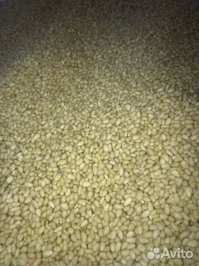 Ядро кедрового ореха (очищенные орехи)