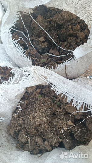 Конский навоз чистый без опилка из Клюшниково