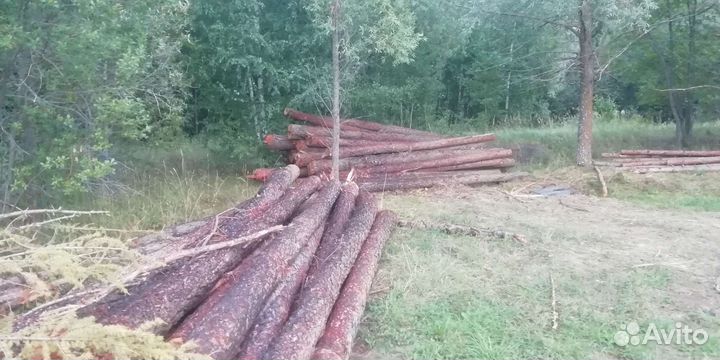 Лес кругляк лиственница