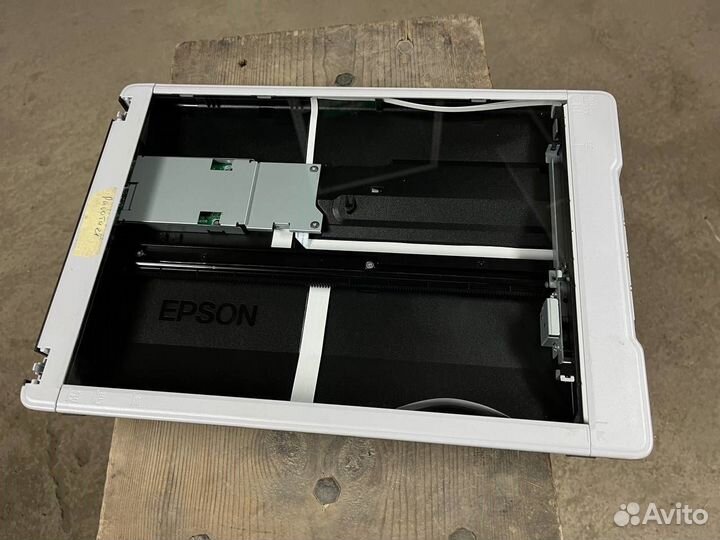 Сканер Epson perfection v19