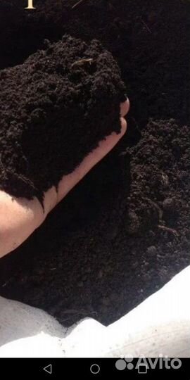 Торфогрунт