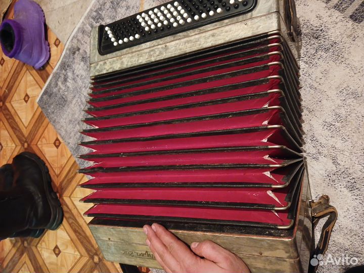 Баян тульский