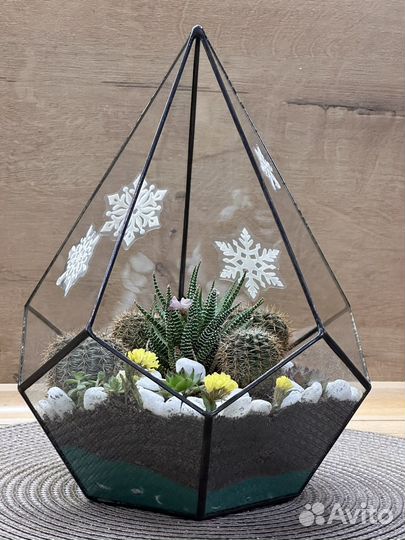 Подарок Флорариум суккуленты цветы