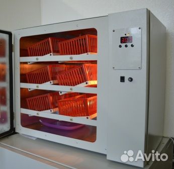 Бытовой, фермерский инкубатор ипх-12