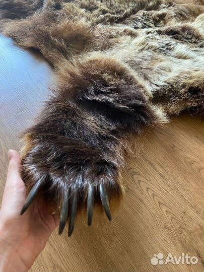 Шкура медведя имитация