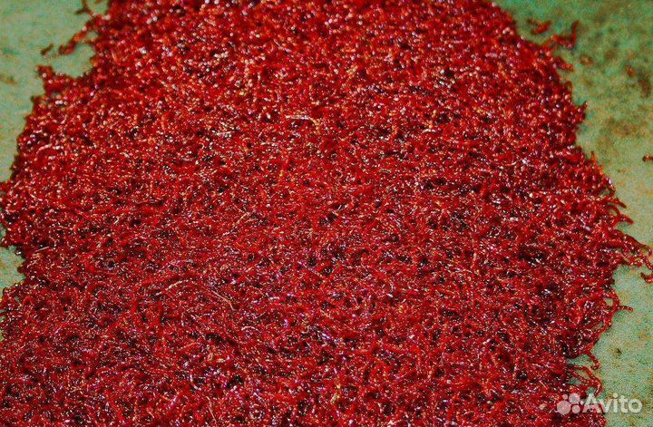 Мороженные корма