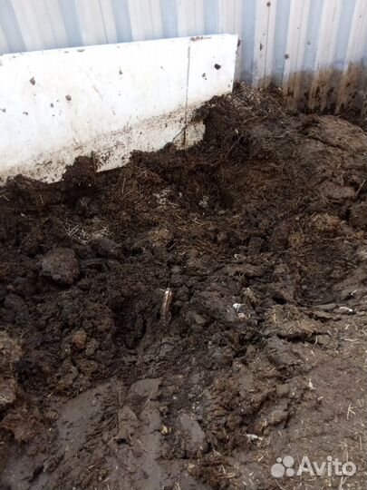 Навоз - Лучшее удобрение