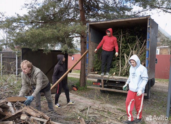 Вывоз хлама,бытового,пищевого,строительного мусора
