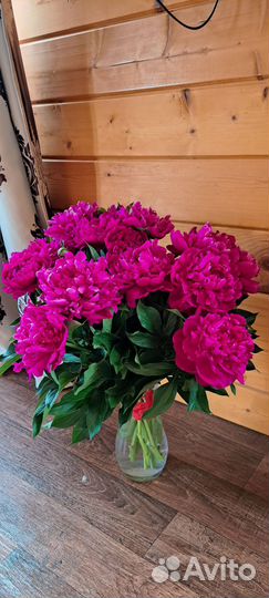 Пионы букет