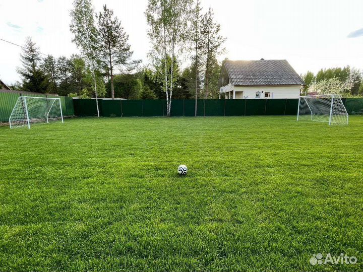 Рулонный газон