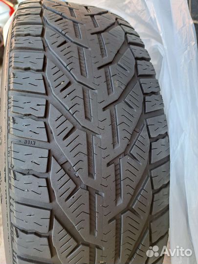 Tigar Winter 205/65 R16 95H