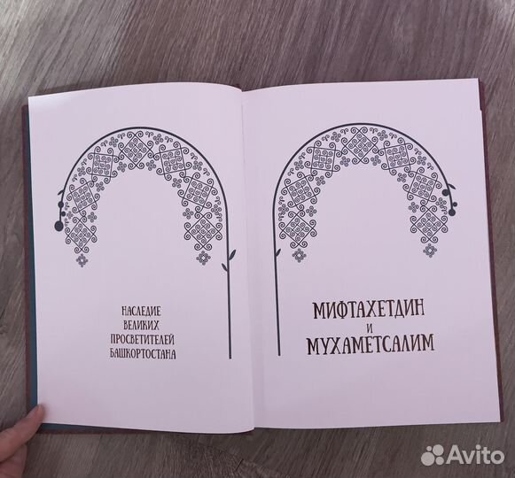 Книга - Мифтахетдин и Мухаметсалим