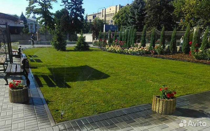 Укладка и продажа газона