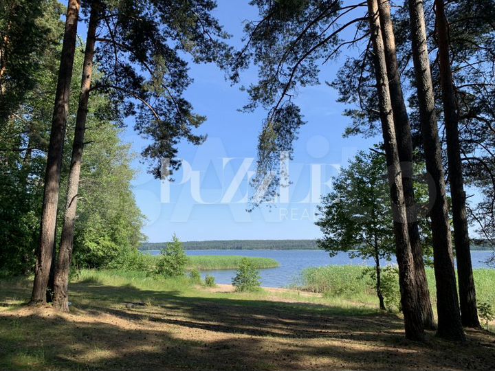 Участок 75,8 сот. (СНТ, ДНП)