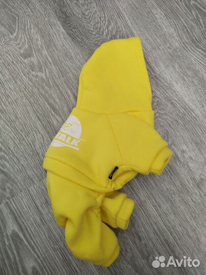 Спортивный костюм для собак