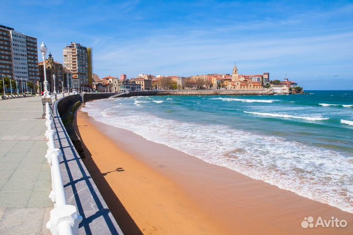 Услуги в Испании (представитель, координатор)