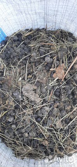 Навоз козий