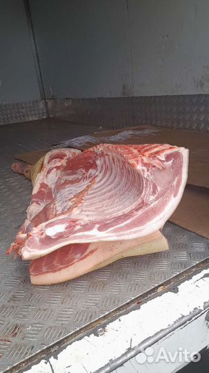 Парное мясо Оптом и в розницу Свинина