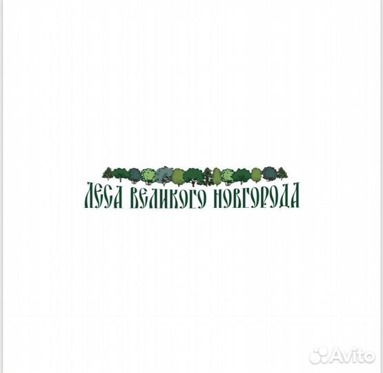 Водитель-экспедитор кат.В