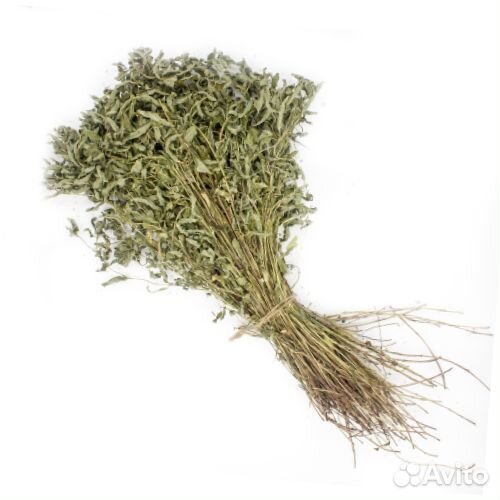 Травы для бани