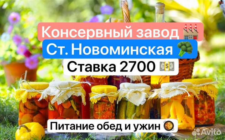 Разнорабочие консервный завод вахта Новоминская